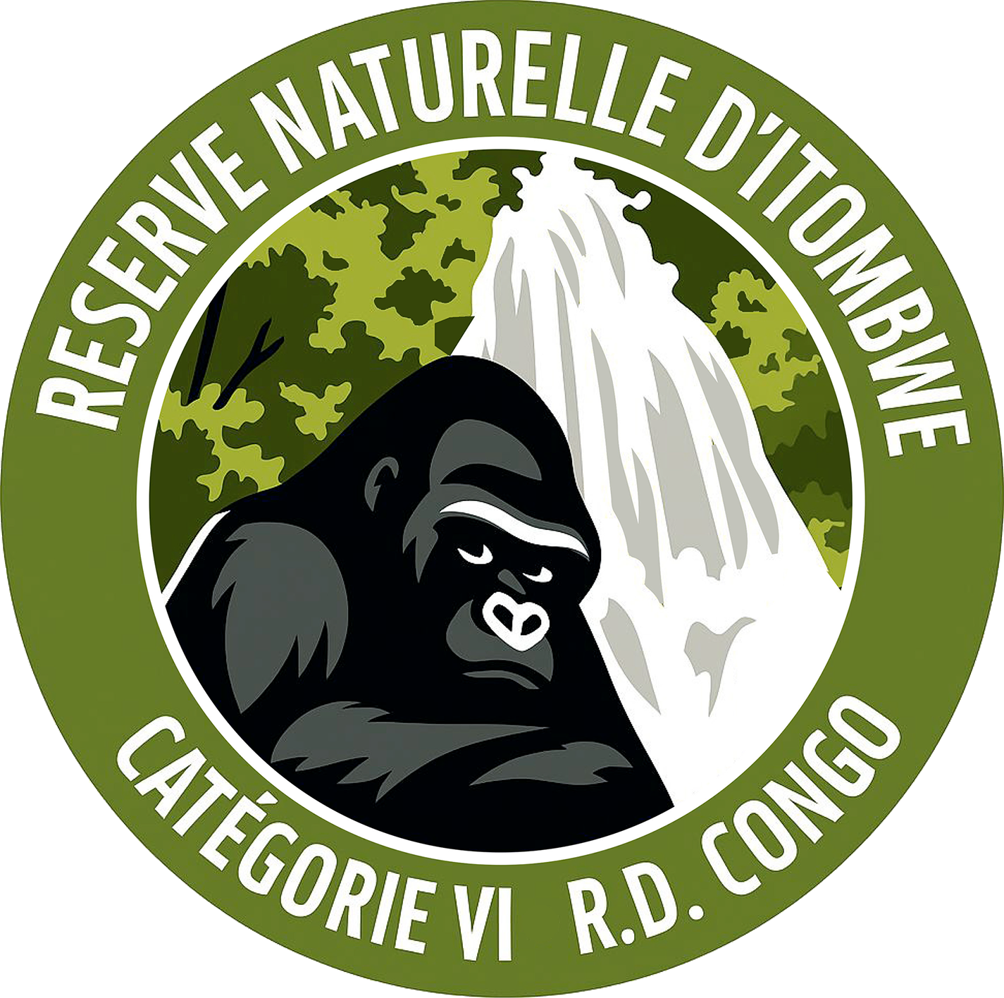 Logo Réserve Naturelle d'Itombwe (RNI)